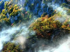 -王顺山国家森林公园