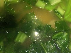 车螺芥菜汤-唐猛猛湘乐汇(银泰城店)
