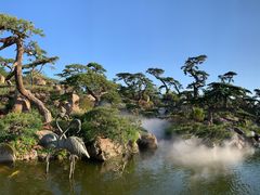 -罗红摄影艺术馆