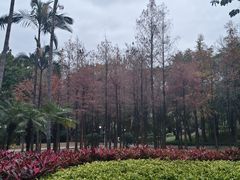 -晓港公园