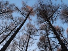 -长春净月潭风景名胜区