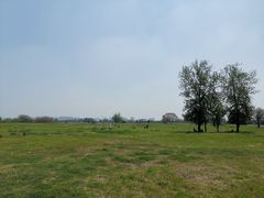 -汉长安城未央宫国家考古遗址公园