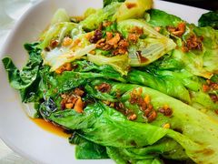烫生菜-百家春好德来姜母鸭