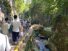 -莫干山风景区