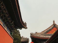 -北京艺术博物馆(万寿寺)
