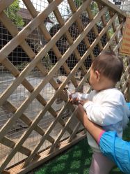 -萌宠亲子动物乐园(槐房万达店)