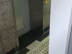 -陆家浜路(地铁站)