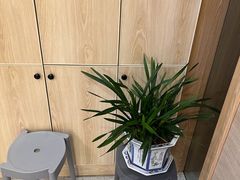 -麦悠悠·SPA·推拿(太阳山路店)