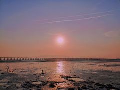 -宝安西湾红树林湿地公园