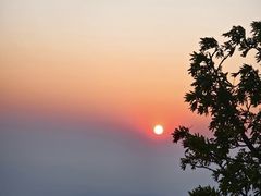 -万达广场(泰安泰山店)