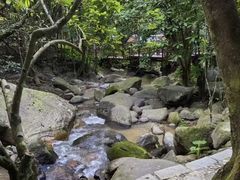-七仙岭温泉国家森林公园