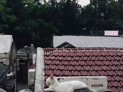 -EATALIA意塔利意式餐厅(鼓楼店)