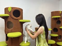 -青奢宠物·青奢猫舍