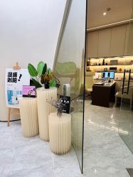 -Fundi张玉珊修身堂·indiba·BTL科技瘦身