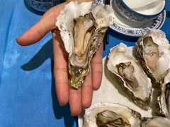 -千岛蚝高压锅生蚝·人参火锅(白云万达店)