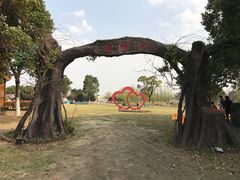 景点-梁鸿国家湿地公园