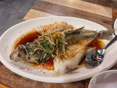 -东鸽皇(奥园·中环广场店)