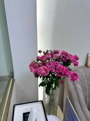 -MIDA蜜哒•科技逆龄美肤连锁