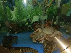 -辉哥火锅(虹桥路店)