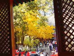 -红螺寺
