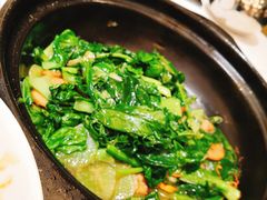 砂锅养生野菜-金春禧(世茂国际广场店)