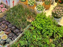 -循礼门鲜花花市(武汉循礼门店)