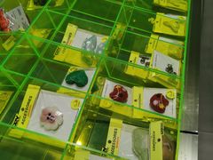 -九木杂物社(中心店)