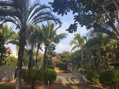 -三亚海棠湾万丽度假酒店