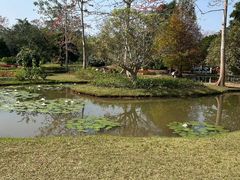 -中国科学院西双版纳热带植物园