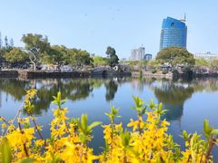 -无锡蠡湖国家湿地公园-蠡园