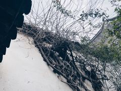 -艺圃