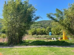 -三亚南山文化旅游区