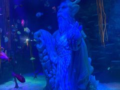 -沈阳海洋探索中心