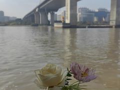 -闽江夜游台江旅游码头