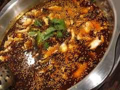 -川渔居—鱼火锅(八方汇店)