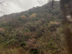 -太湖源风景区