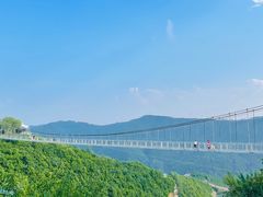 -铜川市金锁关石林