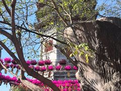-西海子公园