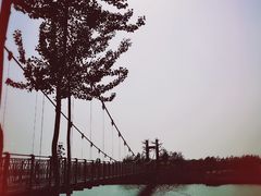 -西青郊野公园