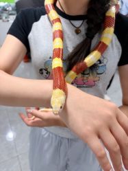 点击看大图 -神奇动物撸宠馆·羊驼·小浣熊·异宠(豫园店)