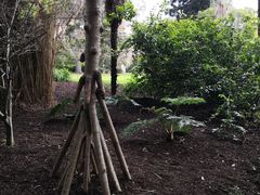 -墨尔本皇家植物园