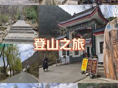 -王顺山国家森林公园