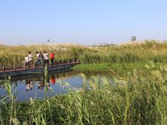 -春花秋色城市公园