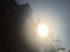 -瑞幸咖啡(艺树家工场店)