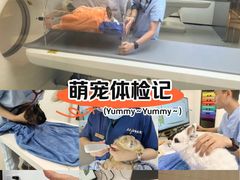 -立德异宠动物医院.兔鸟爬.内窥镜(天河店)