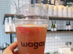 -Wagas沃歌斯(富力广场店)