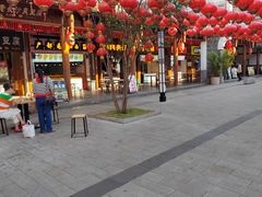 -洋湖国家湿地公园