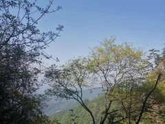 -王顺山国家森林公园