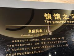 -大庆市博物馆