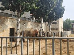 -石家庄市动物园